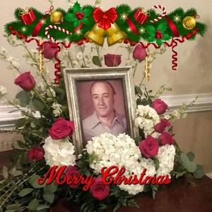 Meet your Posher, Josie